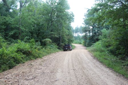 Wooded Land 7.21 Acres with Creek in Lincoln County Mississippi - image 15