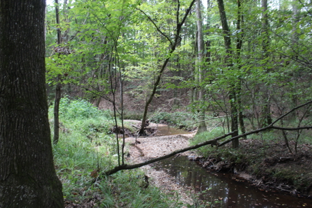 Wooded Land 7.21 Acres with Creek in Lincoln County Mississippi - image 13