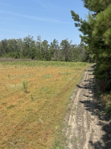 106+ acres of land for recreation, timber, and habitat management - image 4