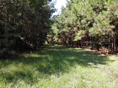 106+ acres of land for recreation, timber, and habitat management - image 10