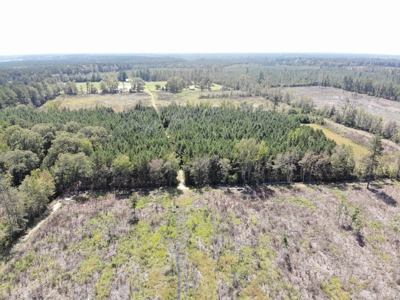106+ acres of land for recreation, timber, and habitat management - image 16