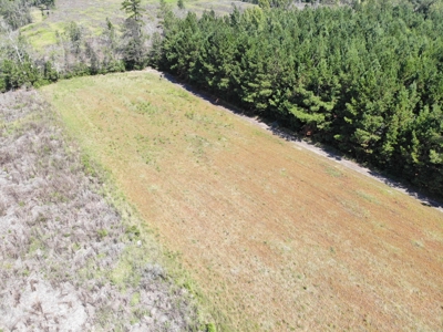 106+ acres of land for recreation, timber, and habitat management - image 8