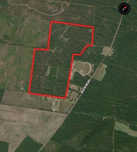 106+ acres of land for recreation, timber, and habitat management - image 21