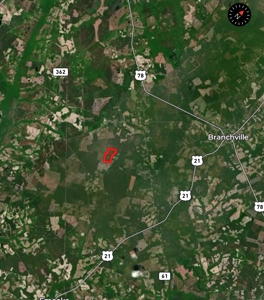 106+ acres of land for recreation, timber, and habitat management - image 22