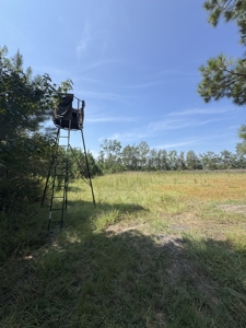 106+ acres of land for recreation, timber, and habitat management - image 2