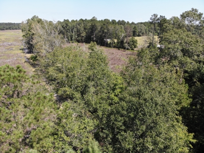 106+ acres of land for recreation, timber, and habitat management - image 11