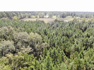 106+ acres of land for recreation, timber, and habitat management - image 12