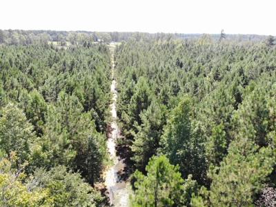 106+ acres of land for recreation, timber, and habitat management - image 18