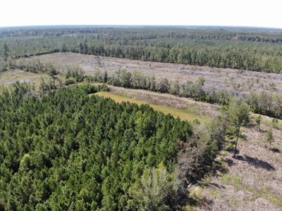 106+ acres of land for recreation, timber, and habitat management - image 15