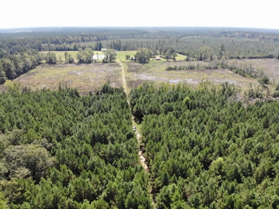 106+ acres of land for recreation, timber, and habitat management - image 13