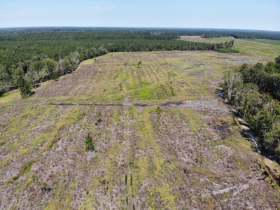 106+ acres of land for recreation, timber, and habitat management - image 20