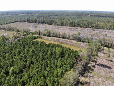 106+ acres of land for recreation, timber, and habitat management - image 19