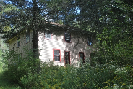 Fixer Upper on Acreage For Sale in Colchester, New York! - image 1