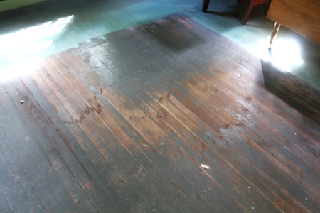 Fixer Upper on Acreage For Sale in Colchester, New York! - image 8