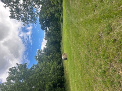 Land for Sale Harrisonville MO - image 4