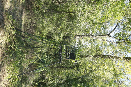 Land for Sale Harrisonville MO - image 17