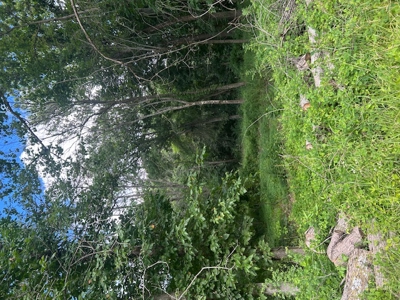 Land for Sale Harrisonville MO - image 10