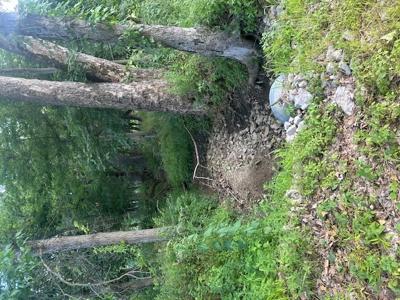 Land for Sale Harrisonville MO - image 2