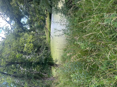 Land for Sale Harrisonville MO - image 5