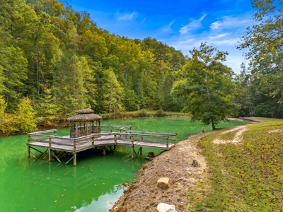 Legacy Estate in Mooresburg, Hawkins County Hunting Resort TN - image 37