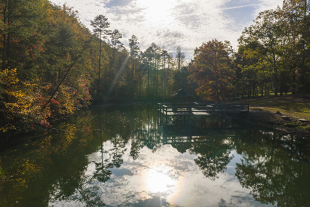 Legacy Estate in Mooresburg, Hawkins County Hunting Resort TN - image 48