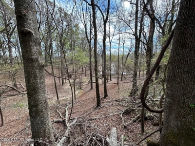Boeuf Bend on Boeuf River North Louisiana Retreat - image 40