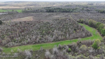 Boeuf Bend on Boeuf River North Louisiana Retreat - image 16