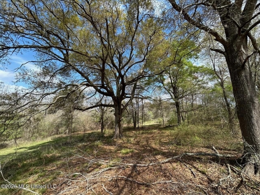 Boeuf Bend on Boeuf River North Louisiana Retreat
