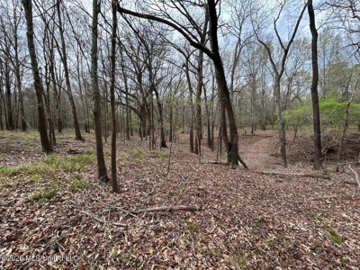 Boeuf Bend on Boeuf River North Louisiana Retreat - image 43