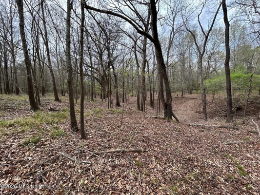 Boeuf Bend on Boeuf River North Louisiana Retreat