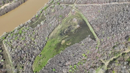 Boeuf Bend on Boeuf River North Louisiana Retreat - image 9