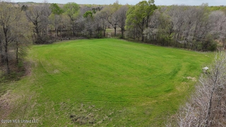 Boeuf Bend on Boeuf River North Louisiana Retreat - image 19