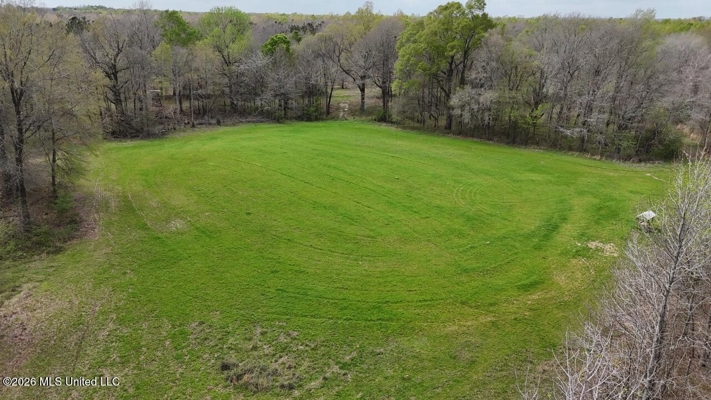 Boeuf Bend on Boeuf River North Louisiana Retreat