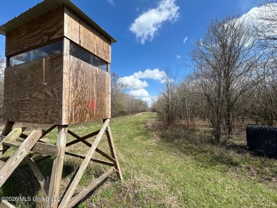 Boeuf Bend on Boeuf River North Louisiana Retreat - image 34