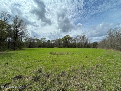 Boeuf Bend on Boeuf River North Louisiana Retreat - image 41