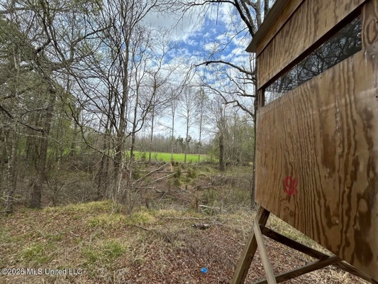 Boeuf Bend on Boeuf River North Louisiana Retreat