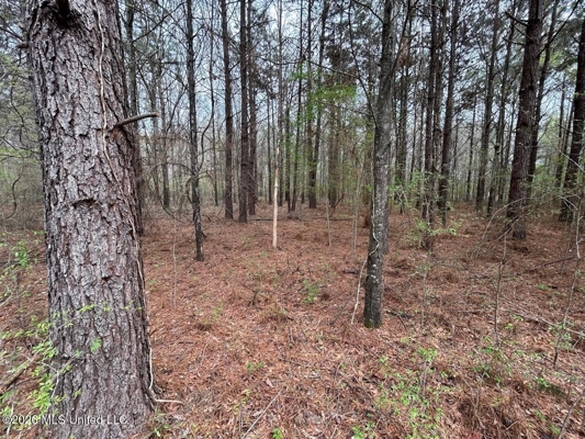 Boeuf Bend on Boeuf River North Louisiana Retreat