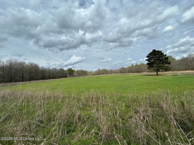 Boeuf Bend on Boeuf River North Louisiana Retreat - image 47