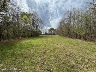 Boeuf Bend on Boeuf River North Louisiana Retreat - image 46