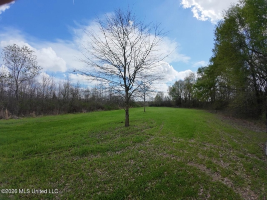 Boeuf Bend on Boeuf River North Louisiana Retreat