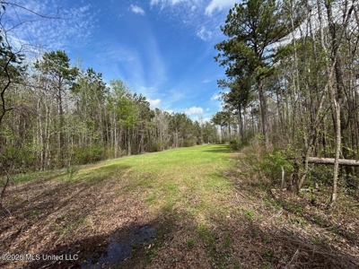 Boeuf Bend on Boeuf River North Louisiana Retreat - image 38