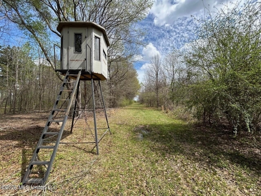 Boeuf Bend on Boeuf River North Louisiana Retreat