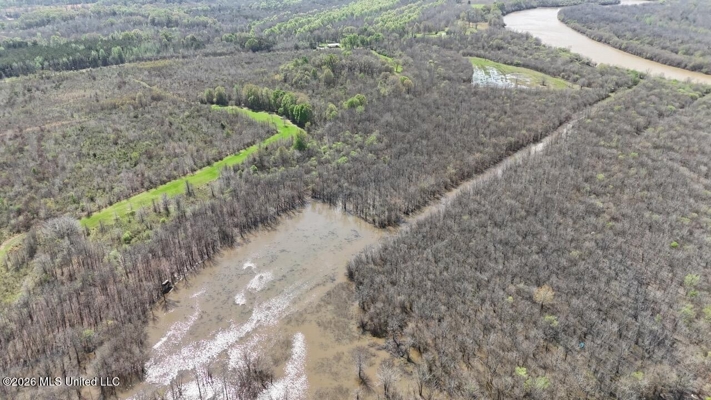 Boeuf Bend on Boeuf River North Louisiana Retreat