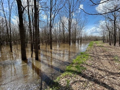 Boeuf Bend on Boeuf River North Louisiana Retreat - image 35