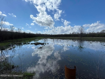 Boeuf Bend on Boeuf River North Louisiana Retreat - image 33