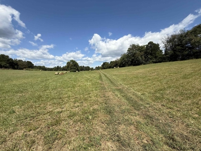 Turn key Kentucky Poultry Broiler Farm in Cumberland County, Ky - image 25