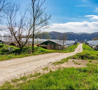 Turn key Kentucky Poultry Broiler Farm in Cumberland County, Ky - image 9