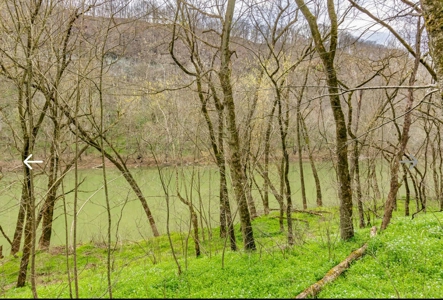 Turn key Kentucky Poultry Broiler Farm in Cumberland County, Ky - image 20