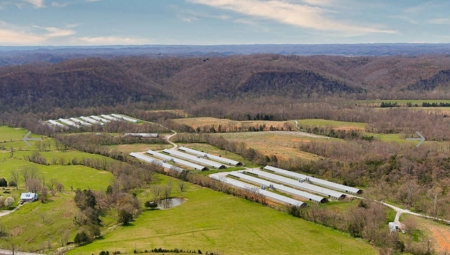 Turn key Kentucky Poultry Broiler Farm in Cumberland County, Ky - image 17