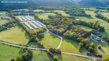Turn key Kentucky Poultry Broiler Farm in Cumberland County, Ky - image 35